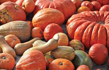 Тыква: Оранжевое чудо для здоровья и кулинарии