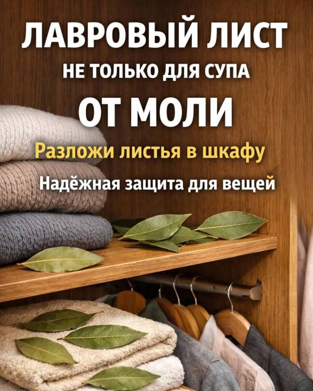 �������� ����: ������, ��� ������ ��������