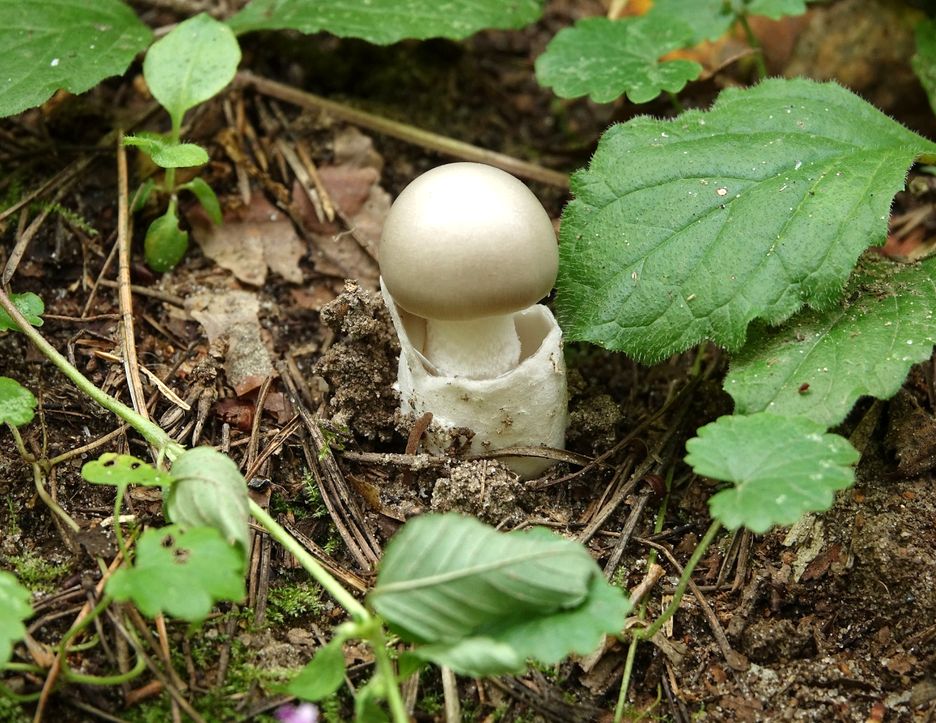 �������� �����: ��������� ���� � ����������