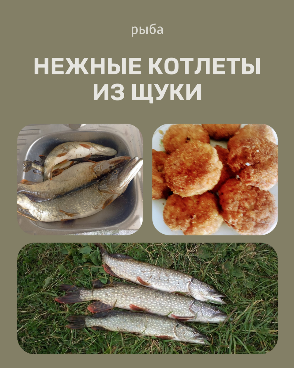 Котлеты из щуки: универсальный рецепт для любителей рыбы