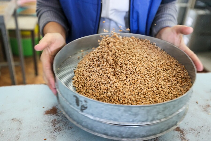 Отруби: Польза И Потенциальный Урон Для Определённых Групп