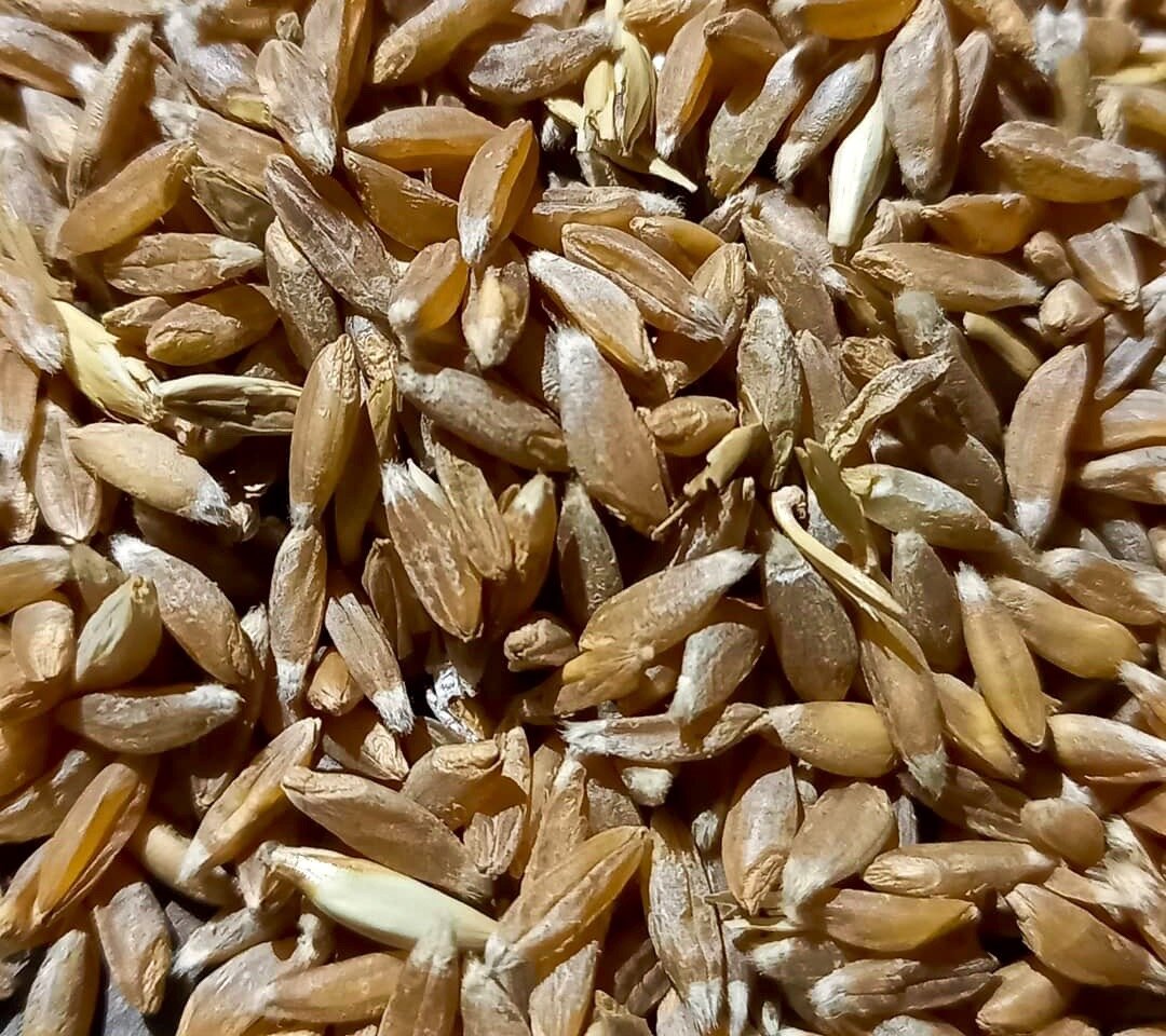 Откройте для себя незаменимые виды муки: полба, спельта и не только