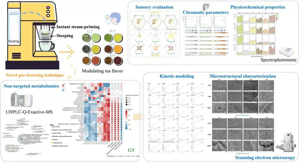 Ошпаривание чая: как пар меняет вкус напитка
