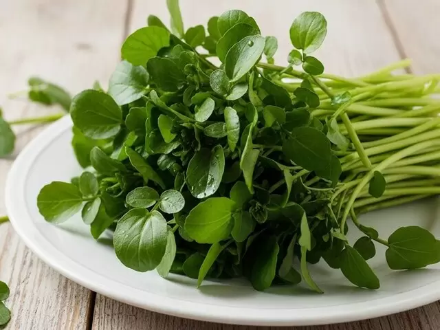 Кресс-салат: естественный помощник в борьбе с холестерином