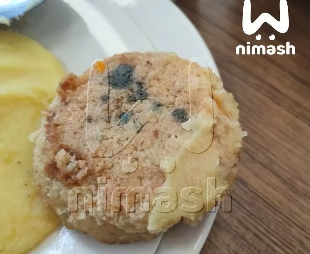 В школе Богородска вместо еды – плесневелые котлеты