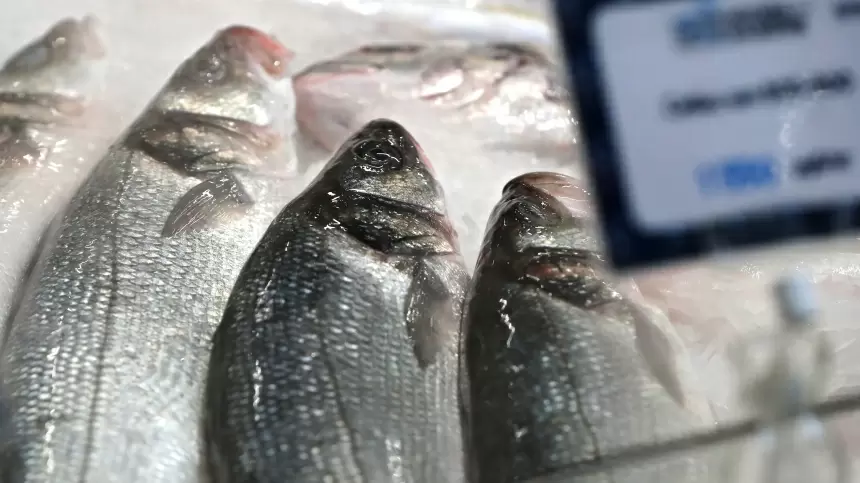 На рыночных полках России стали доступны самые бюджетные сорта рыбы