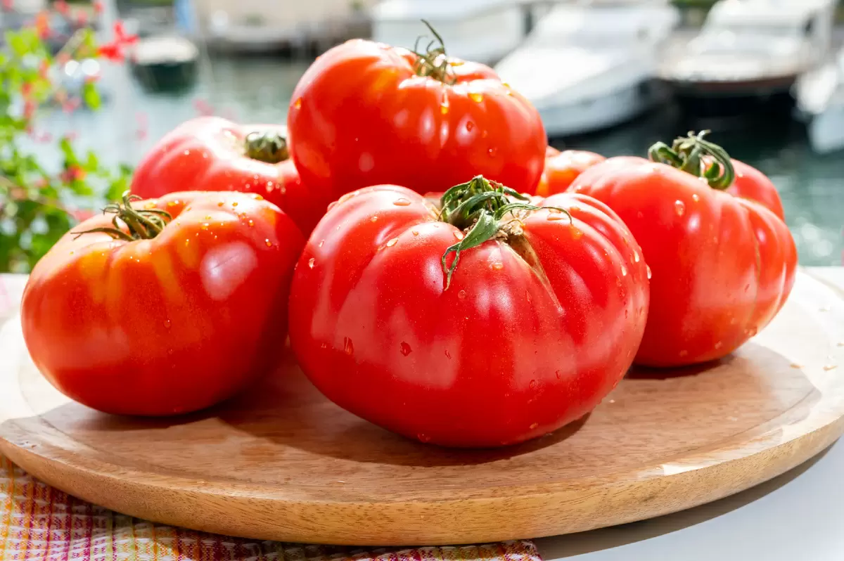 Легкие закуски к мясным блюдам на Пасху