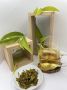 ������ �������: ���������� ����� � ���������� ��������