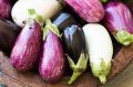 Секреты раннего урожая: 7 сортов баклажанов для февральского посева на рассаду