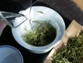 Хуанцзинь Я: уникальный зеленый чай-альбинос из Аньцзи