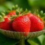 Необычные блюда из свежей клубники: откройте новый вкусный мир